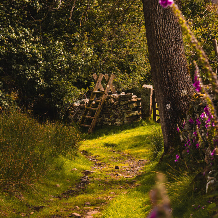 National Trust Membership