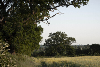 Ellie and Liv planting trees