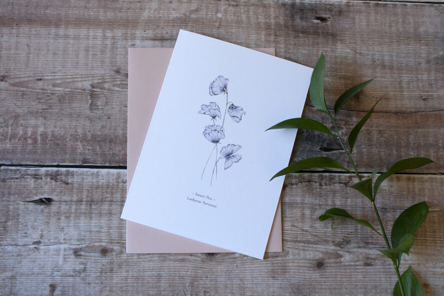 Sweetie greeting card, birthday card