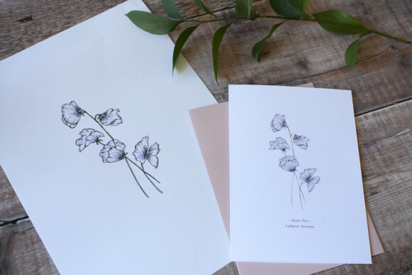 Sweetie in and watercolour botanical drawing with greeting card on wooden backdrop