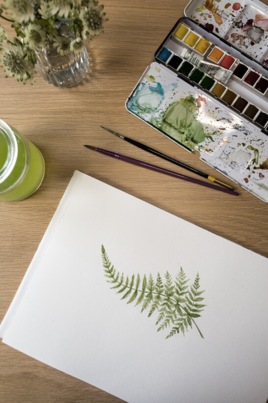 Watercolour of fern. Winsor and Newton watercolour set. Floral design painting