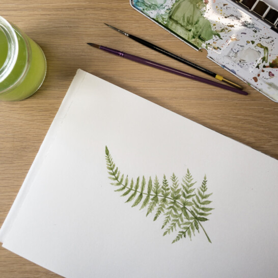fern watercolour illustration by Simone Carr