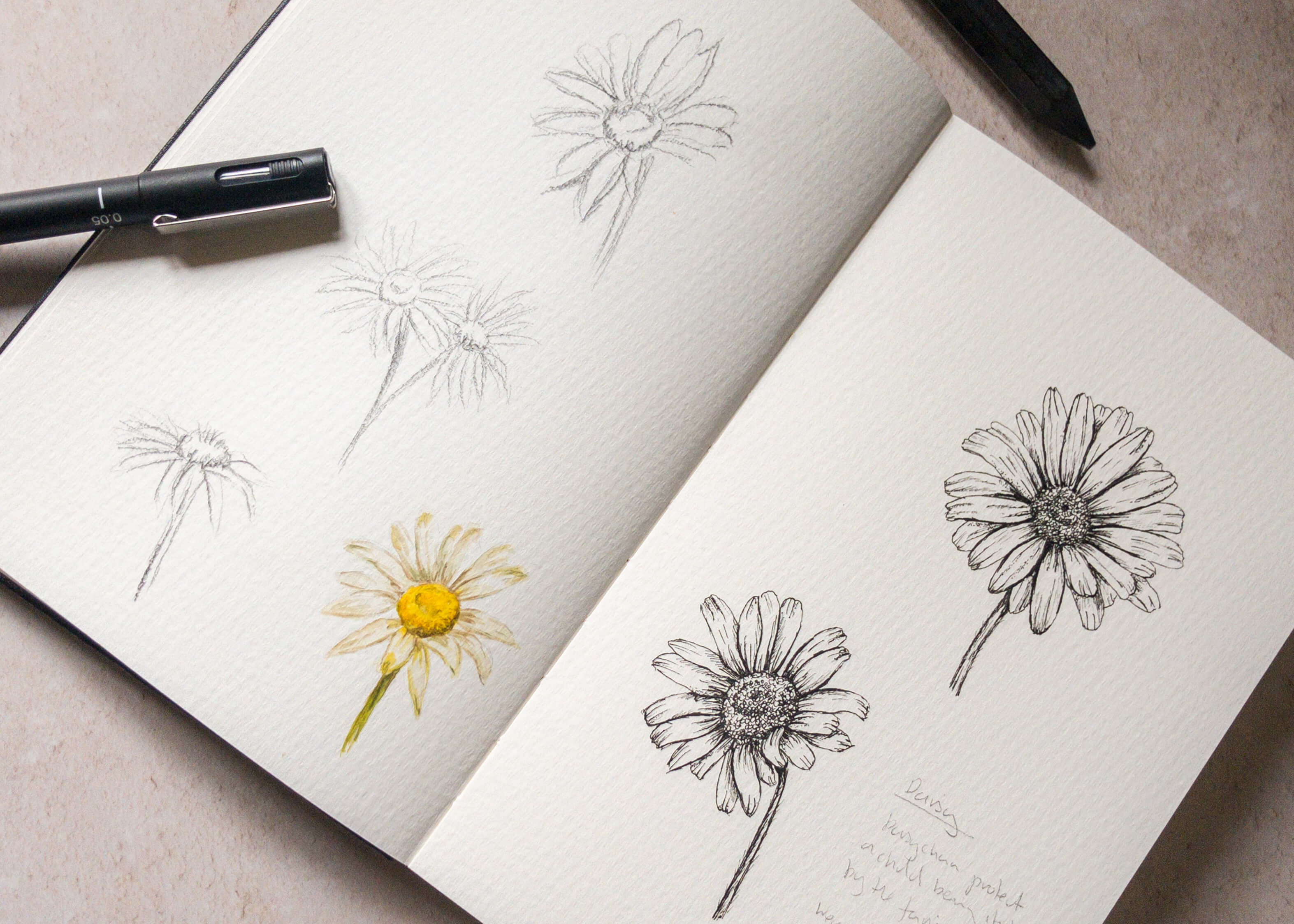 Daisy illustration, surface pattern design, artists sketch book, favourite wedding supplier