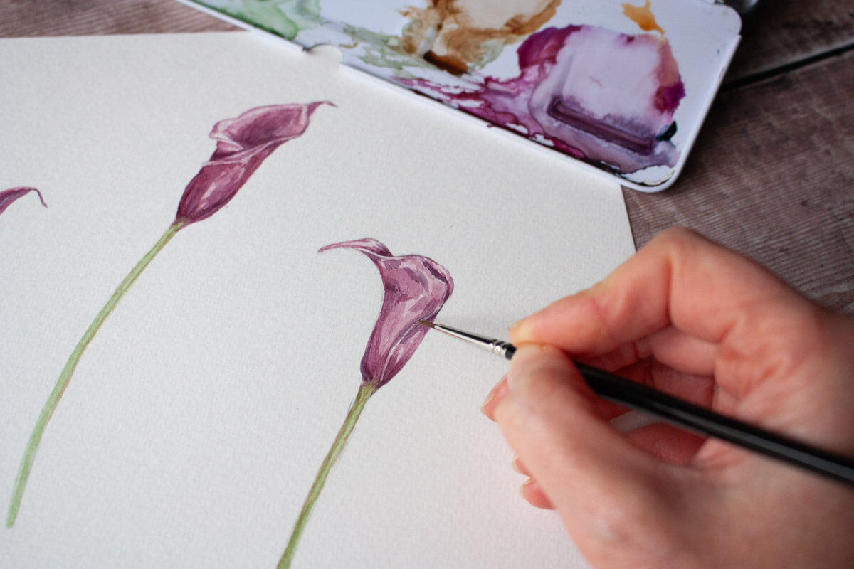 Hand drawn watercolour Calla Lily's at Ellie and Liv Bespoke wedding invitations and botanical design