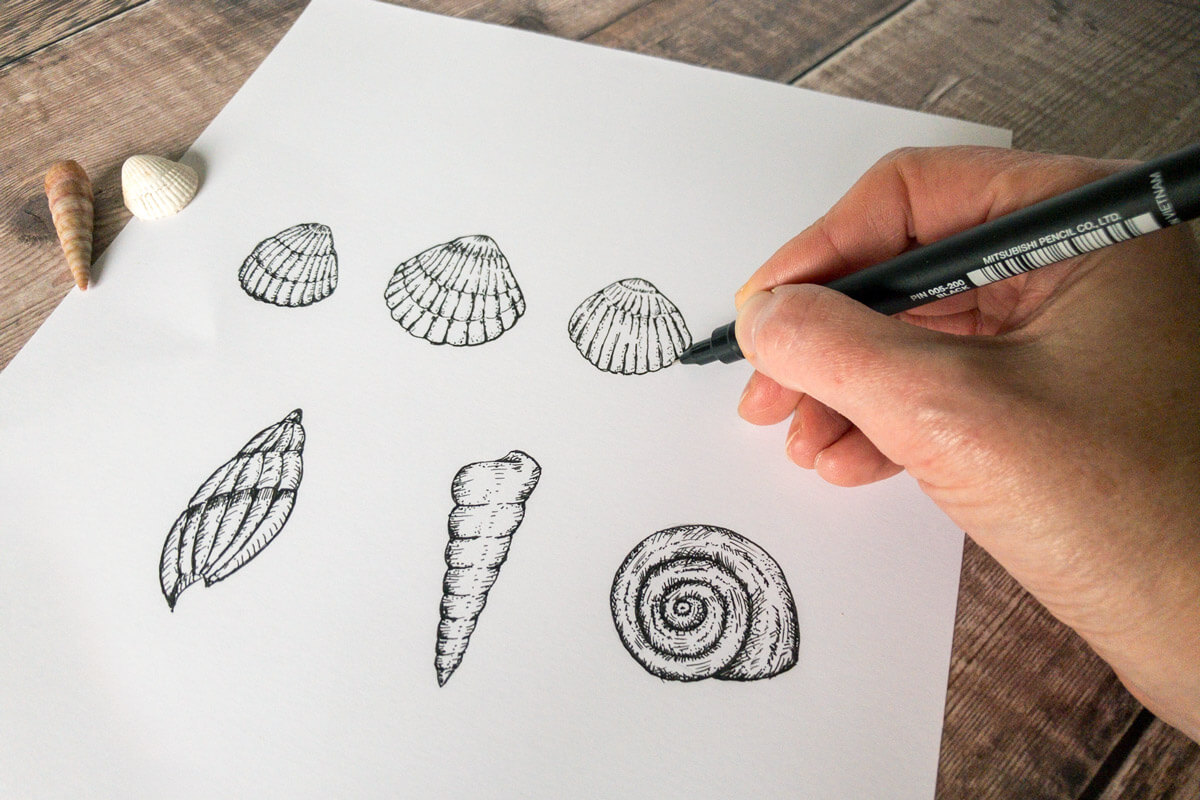 Ellie and Liv ink and paper, fine line seashell sketches