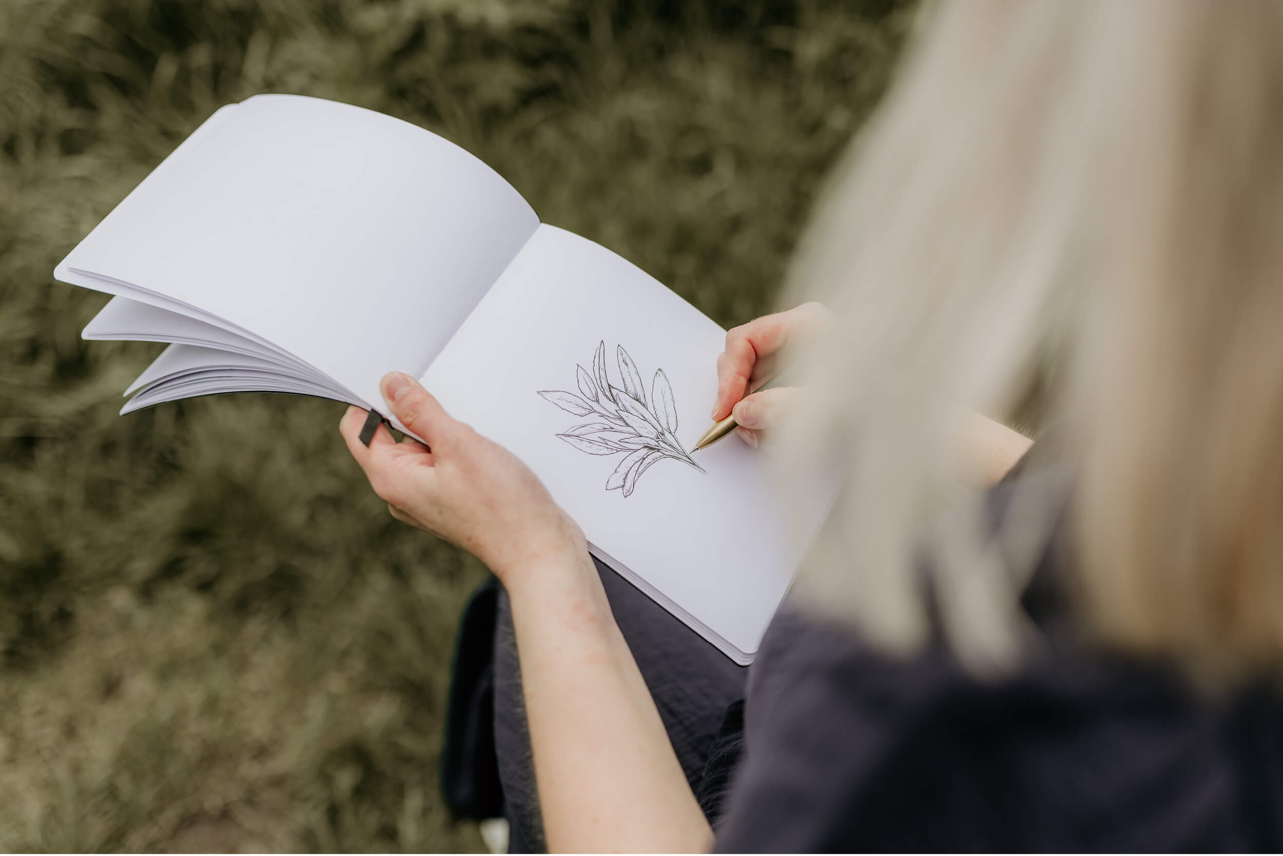 Simone Carr illustrating sage for herb print collection available at Wallsauce