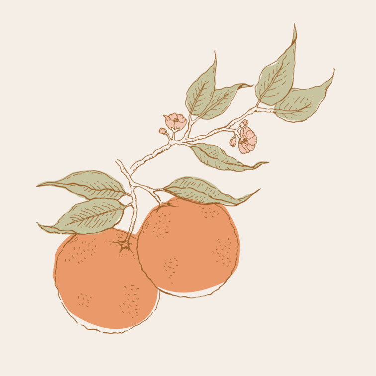 Natural tone Orange and orange blossom motif