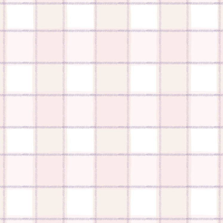 Pink picnic gingham pattern