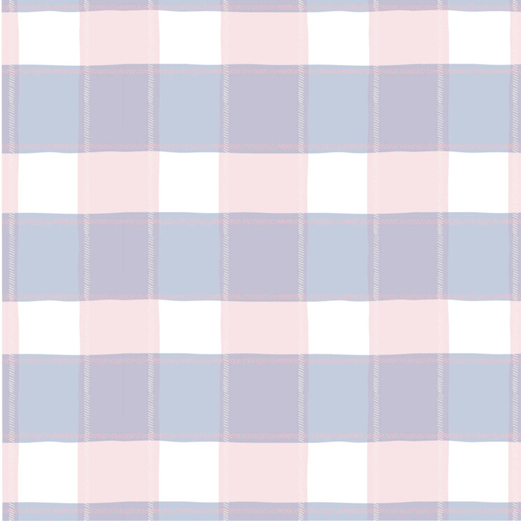 Blue and pink picnic gingham pattern