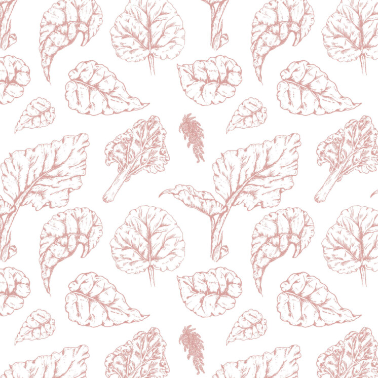 Rhubarb and rhubarb leaf pattern. Classical pattern style pink and white repeating.