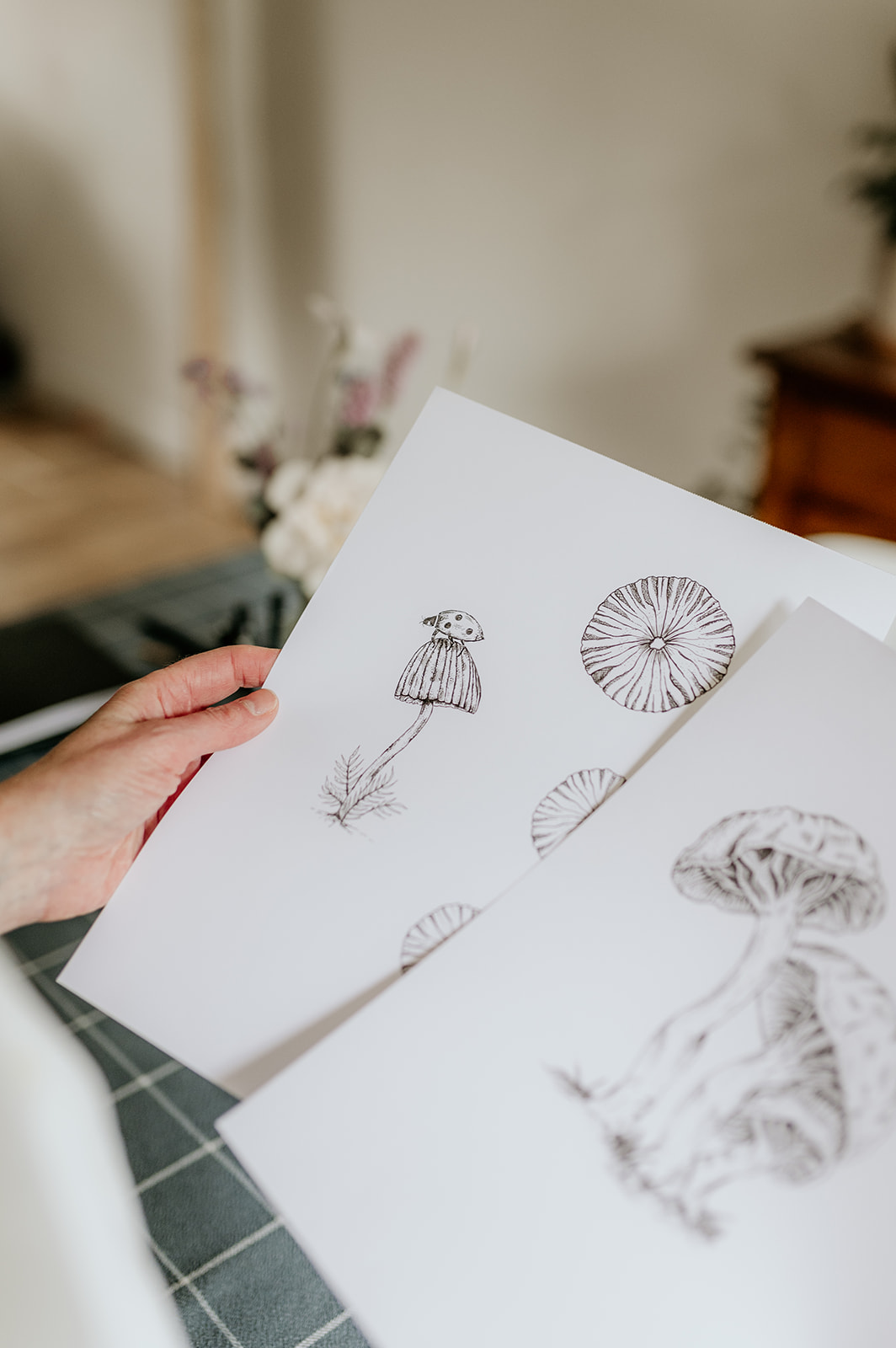 Fine line botanical illustrations and drawings of mushrooms.