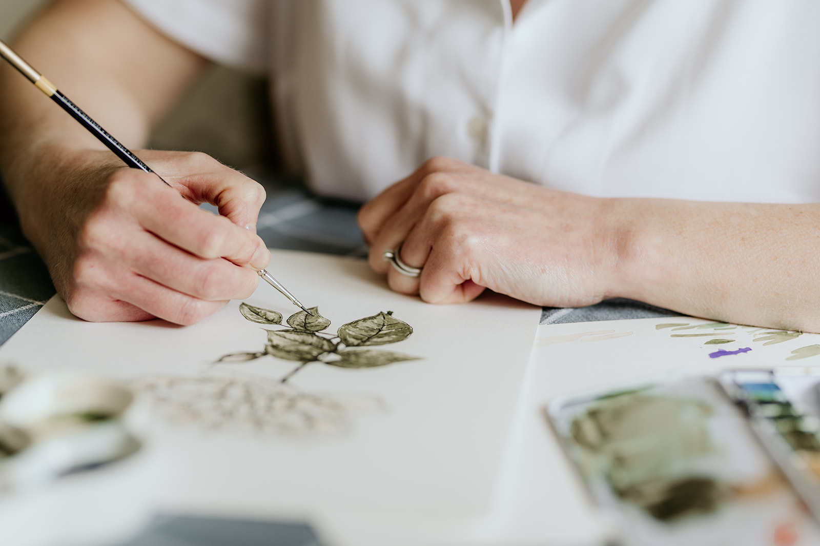 Botanical watercolour and fine line flowers Rose watercolour painting.