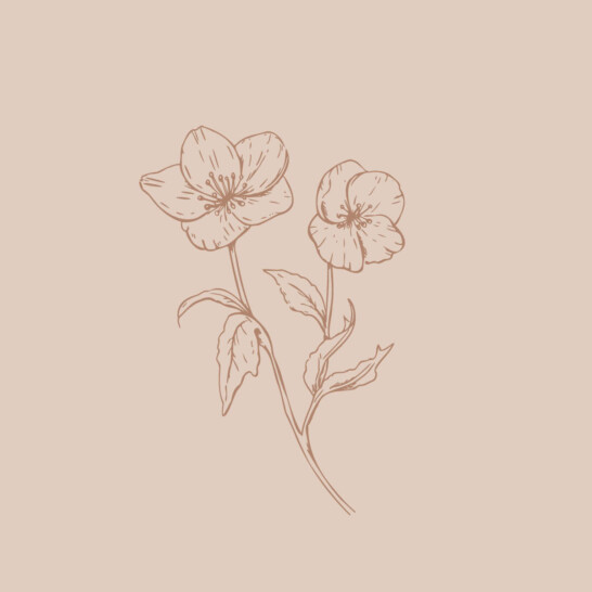 Wedding florist brand mark with wren, hellebore and elm leaf symbols