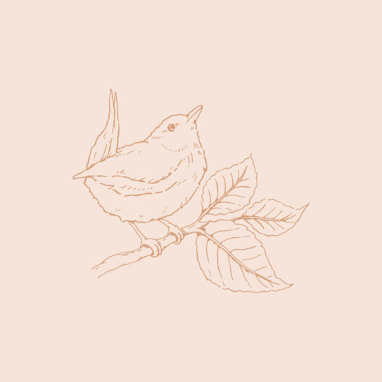 Wedding florist brand mark with wren, hellebore and elm leaf symbols