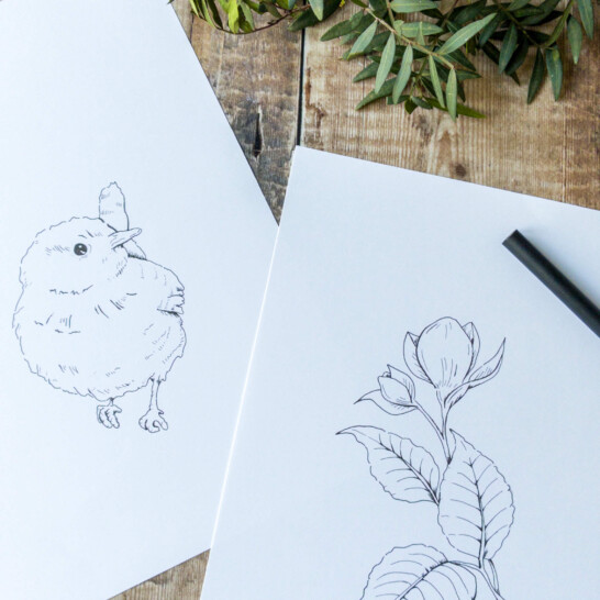 Eco-conscious wedding florist brand suite with custom illustrations and natural textures